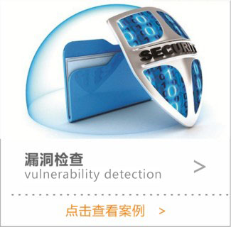 漏洞检查